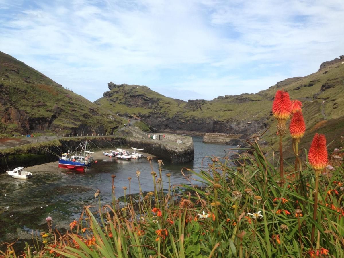 Ferienwohnung Harbour Light Boscastle Exterior foto